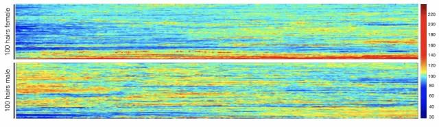 Волосы седеют от стресса